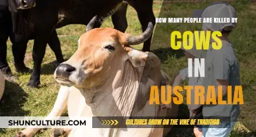 Cows in Australia: A Deadly Threat?