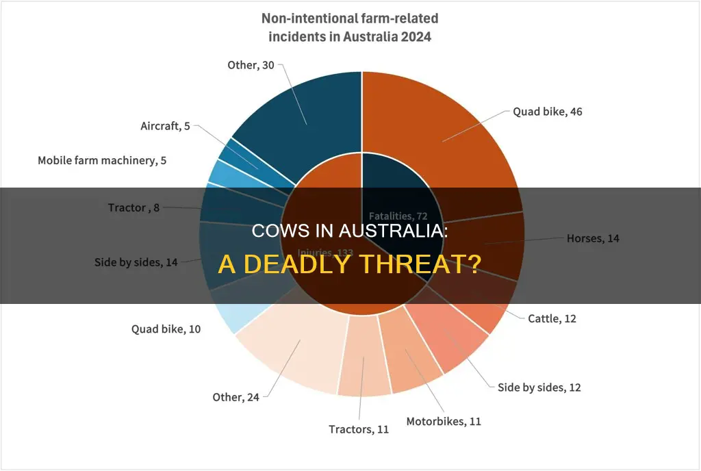 how many people are killed by cows in australia