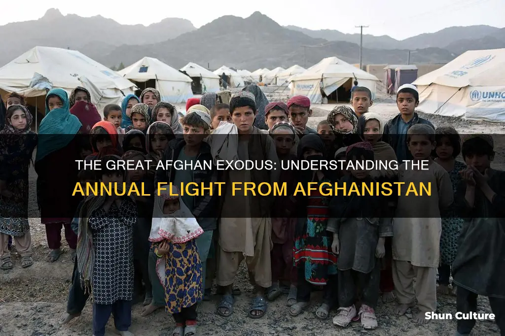 how many people are leaving afghanistan yearly