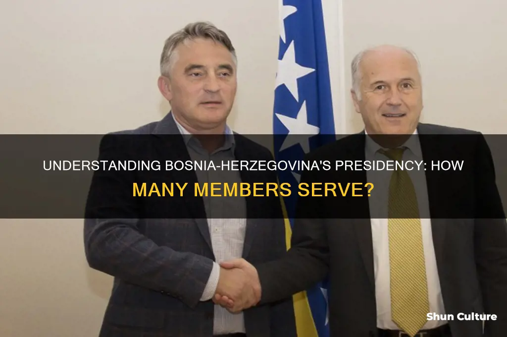 how many people are members of the presidency in bosnia-herzegovina