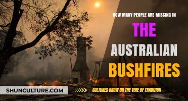 Where are the Missing in Australian Bushfires?