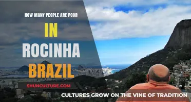 Poverty in Rocinha: Unveiling the Struggles of Brazil's Largest Favela