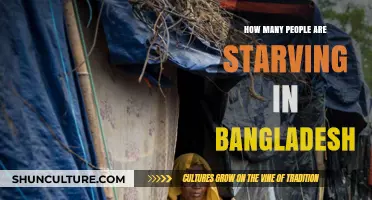 Bangladesh's Hunger Crisis: Understanding the Scale of Starvation
