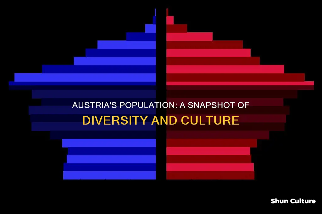 how many people are therein austria