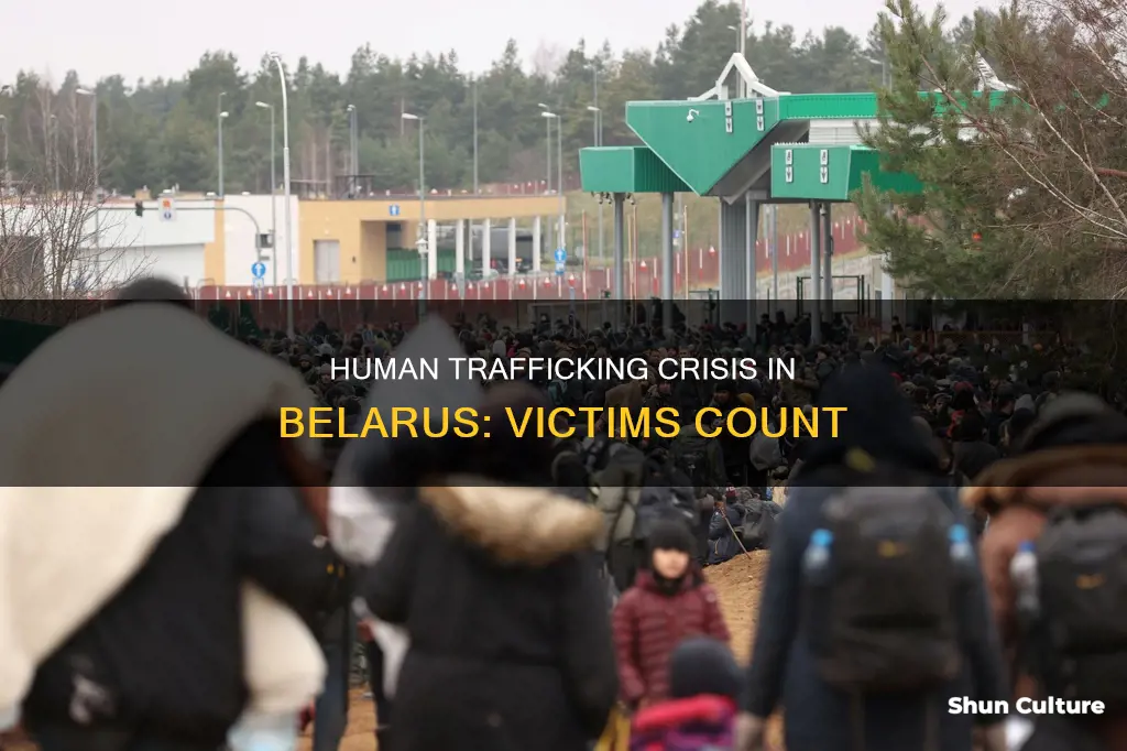 how many people are trafficked in belarus