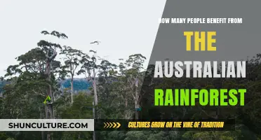 The Australian Rainforest: A Natural Treasure for Many