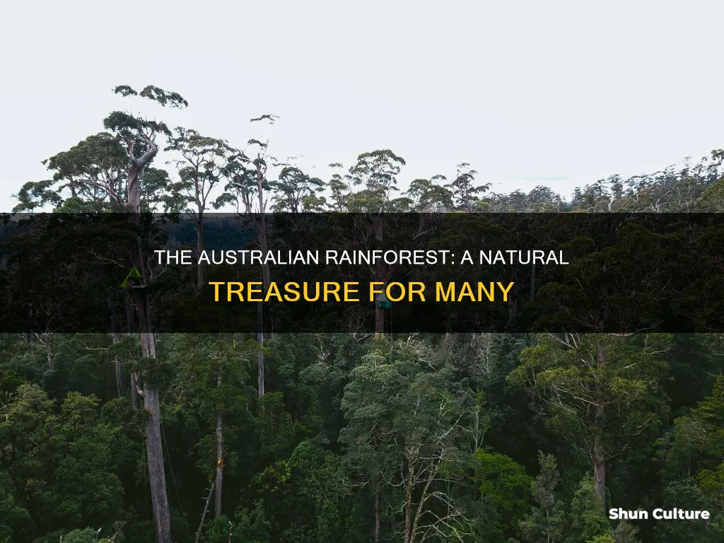 how many people benefit from the australian rainforest