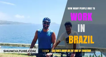 Biking to Work in Brazil: Trends and Commuter Insights