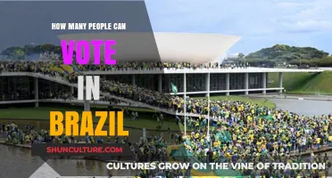 Brazil's Electorate: Understanding the Size of the Voting Population
