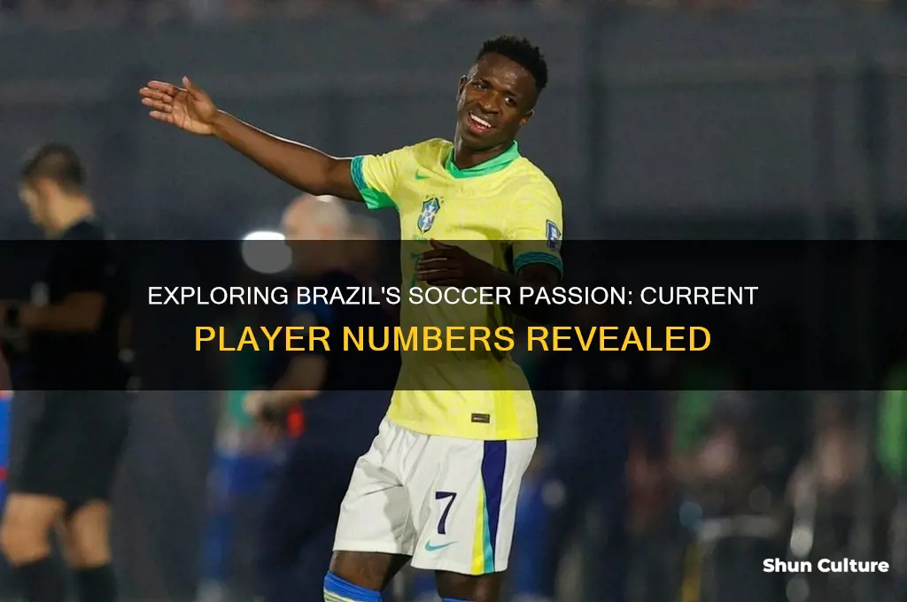 how many people currently play soccer in brazil