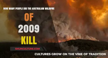 Deadly Australian Wildfires of 2009: Death Toll and Devastation
