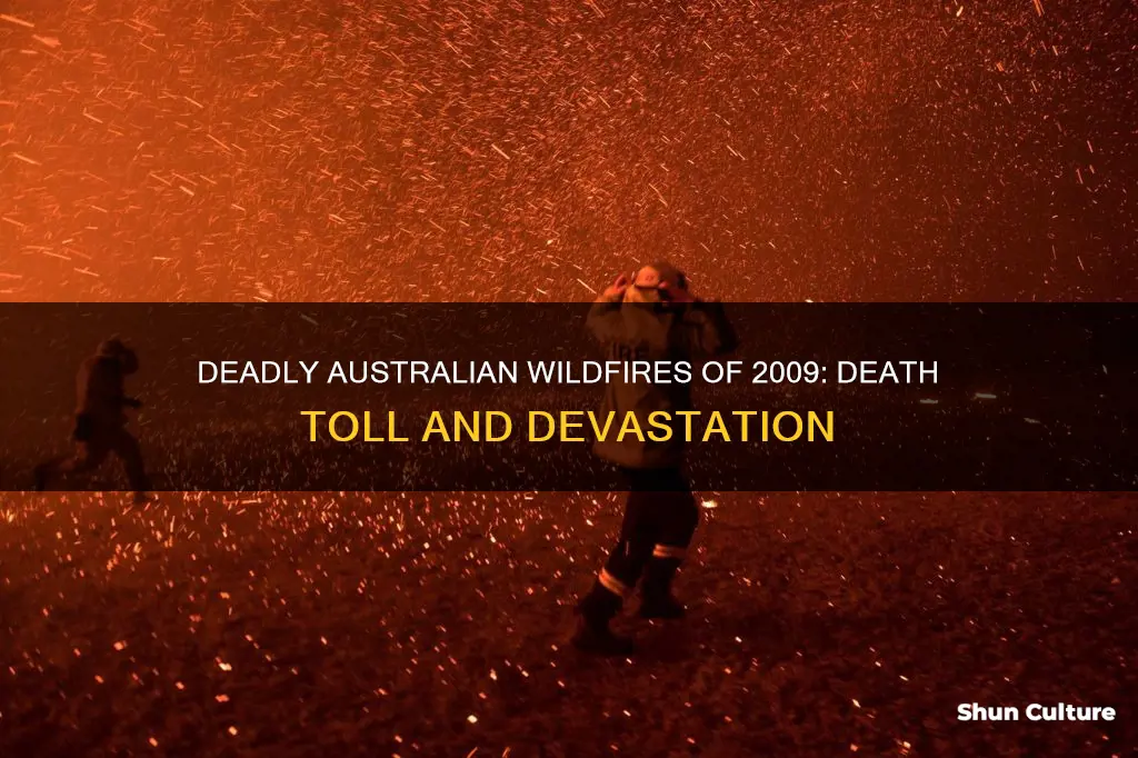 how many people did the australian wildifre of 2009 kill