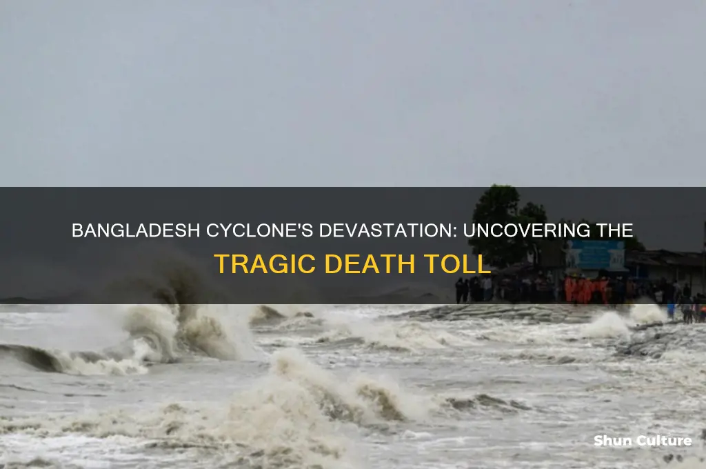 how many people did the bangladesh cyclone kill
