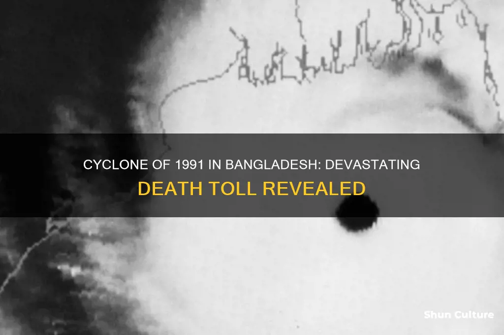 how many people did the cyclone in bangladesh kill 1991