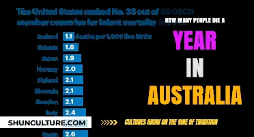Annual Fatalities in Australia: A Sobering Count
