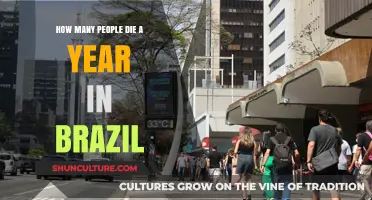 Annual Death Toll in Brazil: Understanding the Statistics and Trends