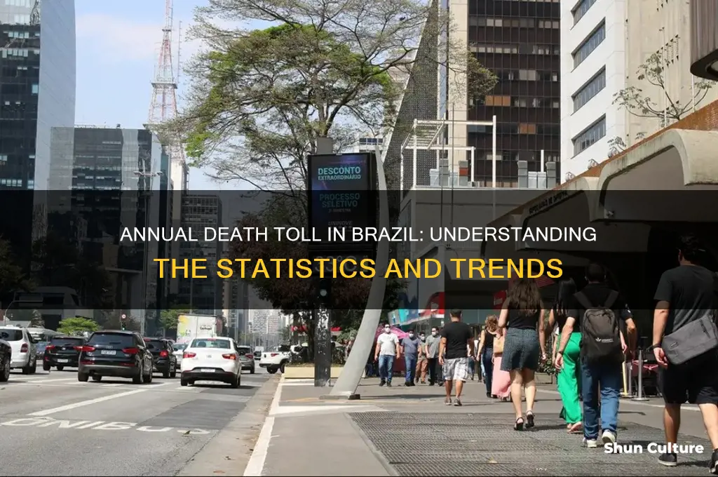 how many people die a year in brazil