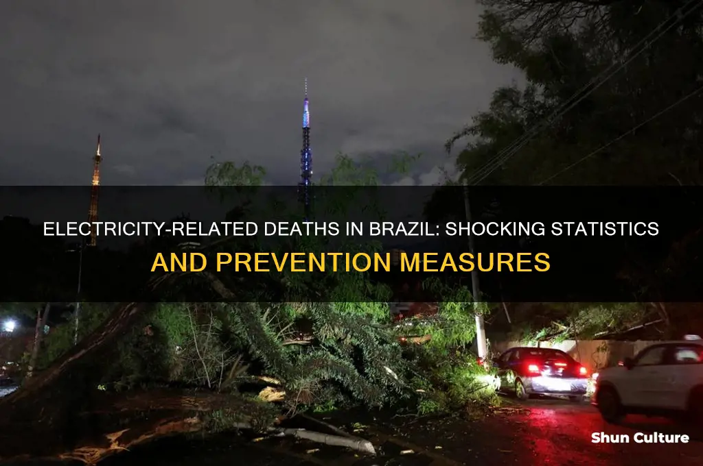 how many people die because of electricity in brazil