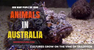 Deadly Encounters: Animal Attacks in Australia
