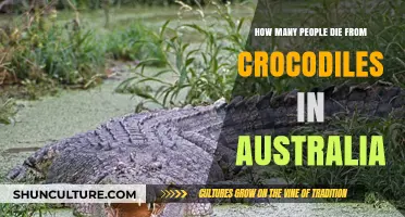 Deadly Crocodile Attacks in Australia: The Human Toll