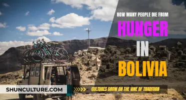 Hunger's Toll: Bolivia's Deadly Struggle