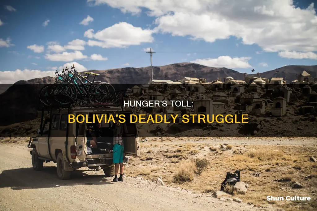 how many people die from hunger in bolivia