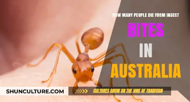 Deadly Insect Bites: Australia's Hidden Threat