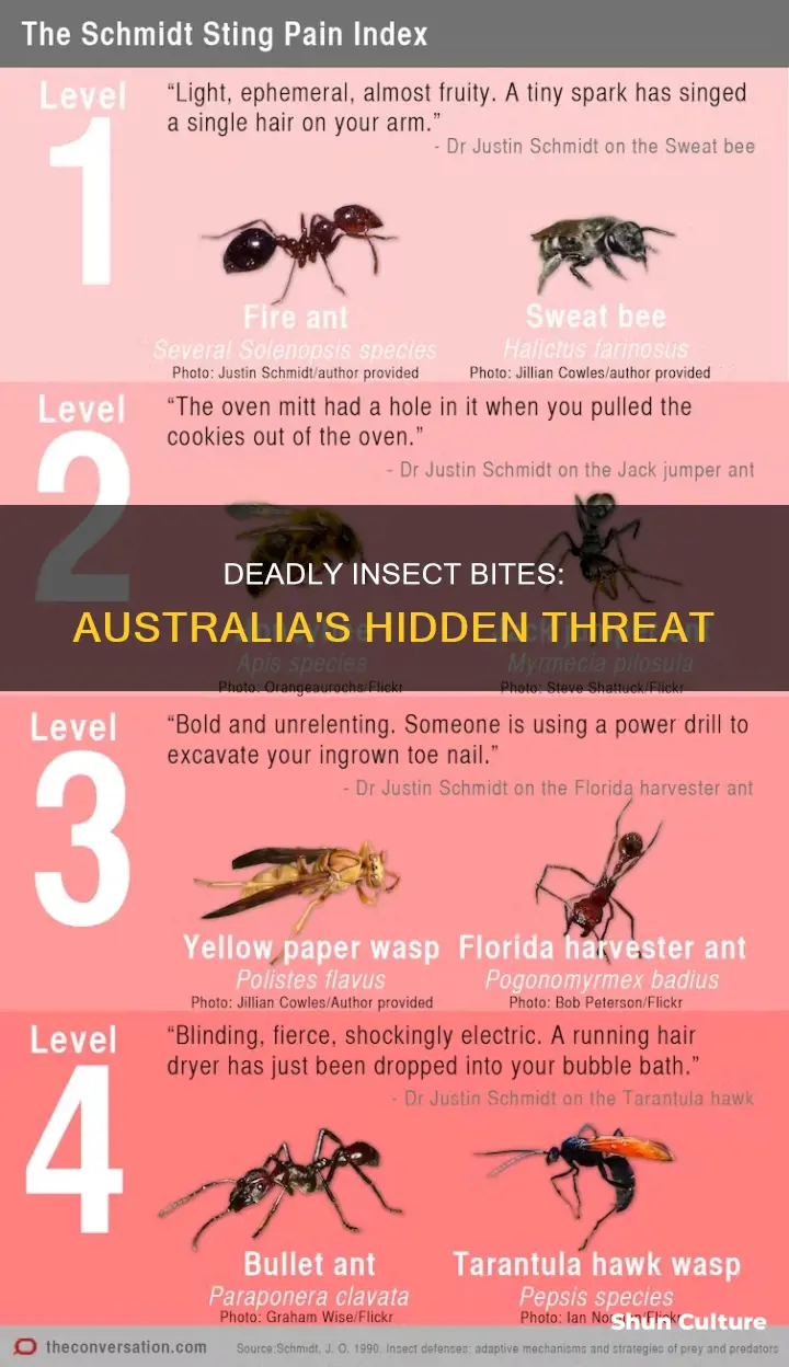 how many people die from insect bites in australia