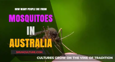 Mosquitoes: Australia's Deadly Threat