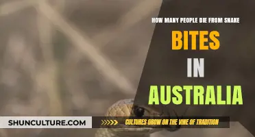 Deadly Snake Bites: Australia's Lethal Threat