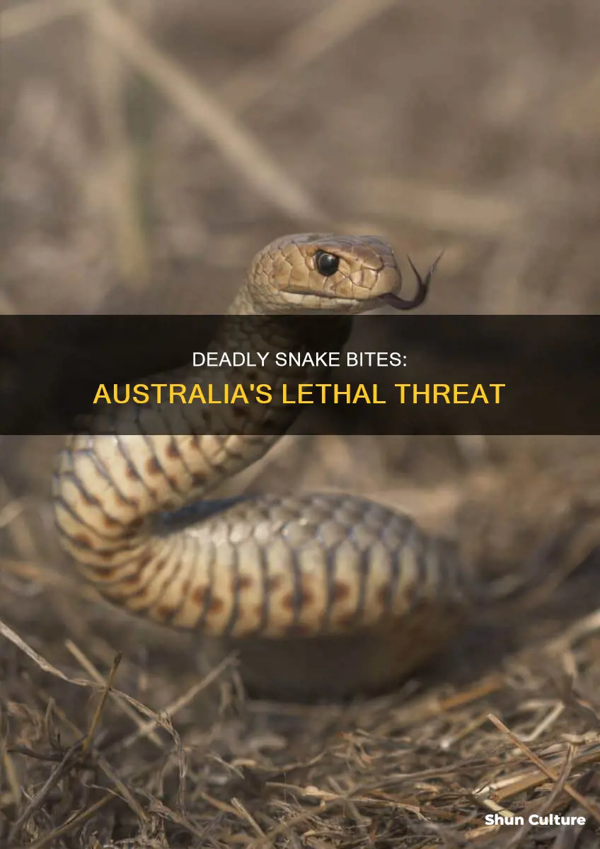 how many people die from snake bites in australia