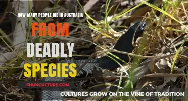 Deadly Species: Australia's Fatal Encounters