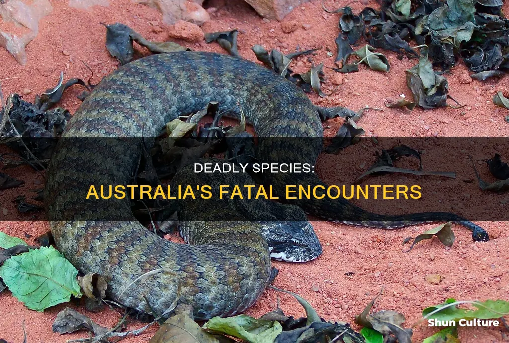 how many people die in australia from deadly species