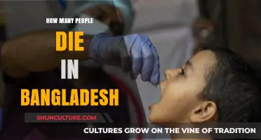 Understanding Bangladesh's Mortality Rates: Causes and Trends