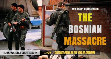 The Bosnian Massacre: Uncovering the Devastating Death Toll and Legacy