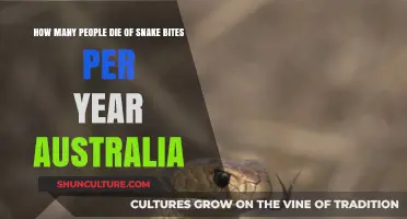 Annual Snake Bite Fatalities in Australia: Shocking Statistics Revealed