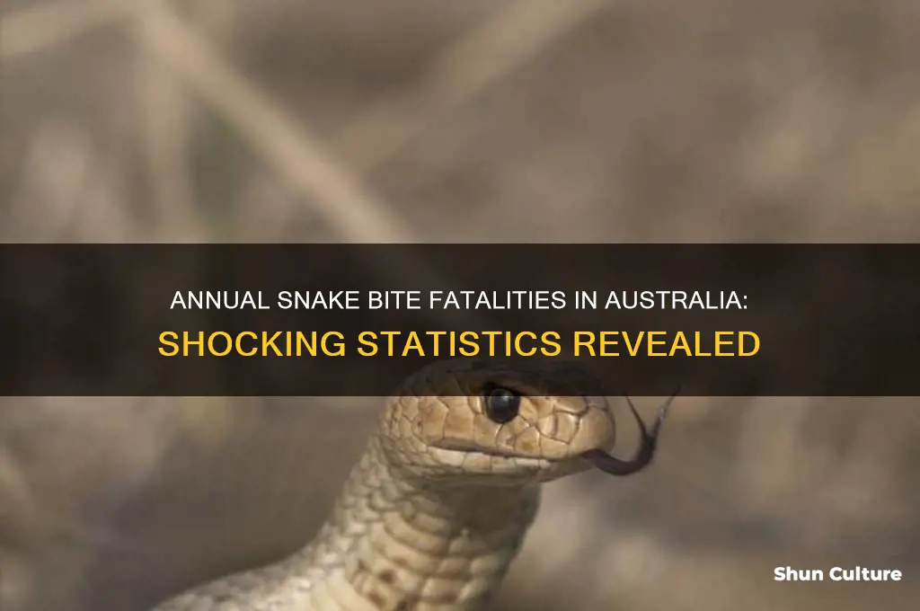 how many people die of snake bites per year australia