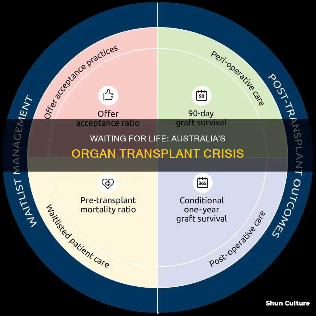 how many people die waiting for organ transplants in australia