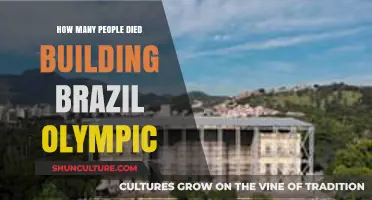 Brazil's Olympic Construction: Uncovering the Human Cost of the Games