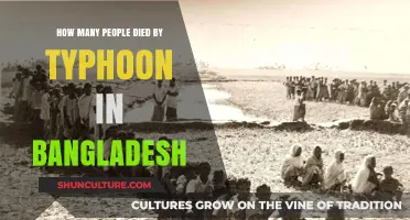 Typhoon Devastation in Bangladesh: Uncovering the Human Toll