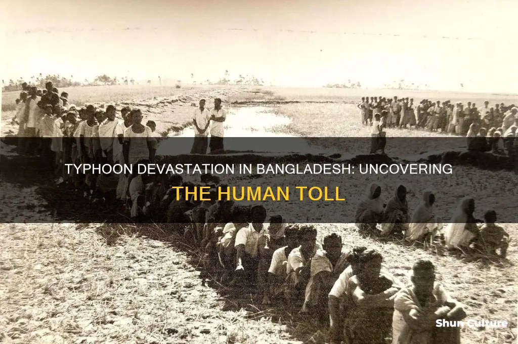 how many people died by typhoon in bangladesh