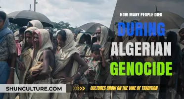Algerian Genocide Death Toll: Uncovering the Tragic Human Cost