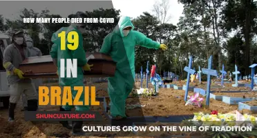 COVID-19's Devastating Toll: Brazil's Tragic Death Count Revealed