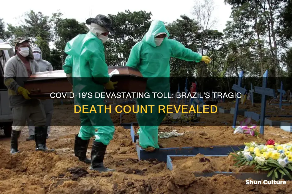 how many people died from covid 19 in brazil