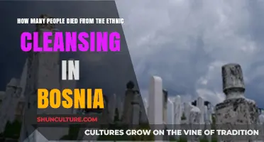 Bosnia’s Ethnic Cleansing: Uncovering the Devastating Death Toll