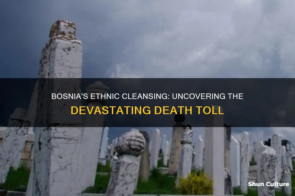 how many people died from the ethnic cleansing in bosnia