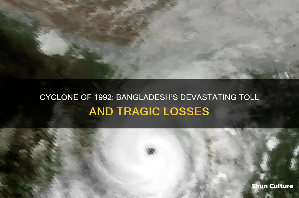how many people died in 1992 cyclone in bangladesh