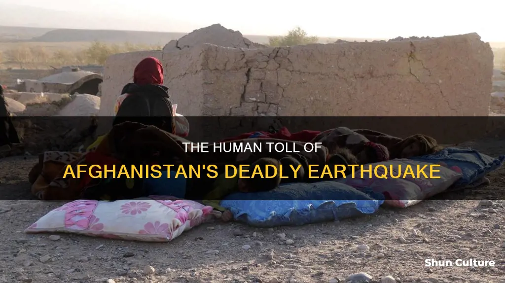 how many people died in afghanistan earthquake