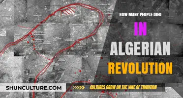 Algerian Revolution's Devastating Toll: Uncovering the Human Cost