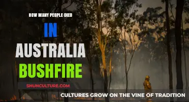 Deadly Bushfires: Australia's Loss and Grief